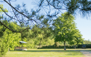 The campground at Alice's RV Park in Opelousas, Louisiana