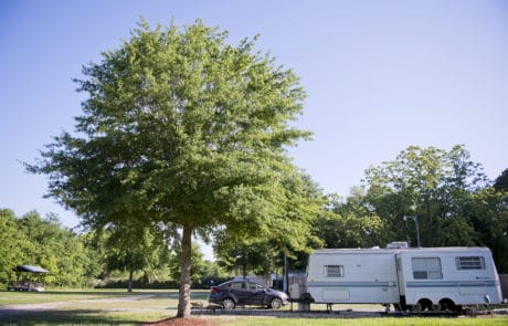 Campsite at Alice's RV Park in Opelousas