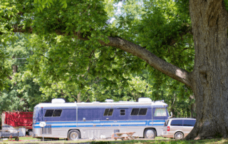 Willie's Campground in Washington, Louisiana