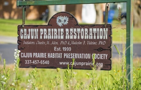 Cajun Prairie Habitat Restoration Site in Eunice, Louisiana