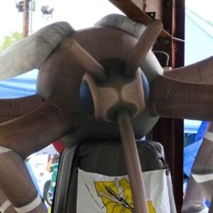 Louisiana Mosquito Festival, Cankton, Louisiana