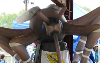 Louisiana Mosquito Festival, Cankton, Louisiana