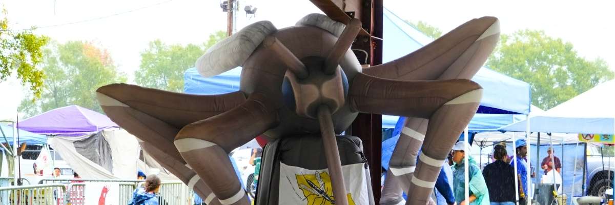 Louisiana Mosquito Festival, Cankton, Louisiana