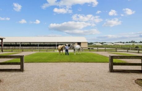 Louisiana Equine Center, Opelousas, Louisiana
