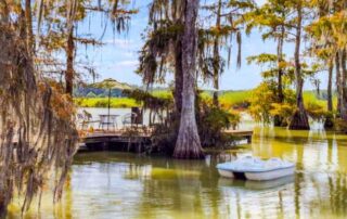 Bayou Oaks, Opelousas, Louisiana