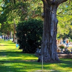 Visiting the Past, Washington, Louisiana