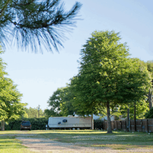 Alice's RV Park