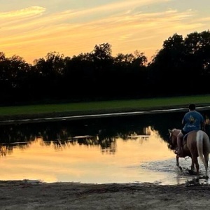 Coasting Z Stables