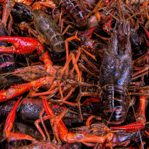 Crawfish Corner