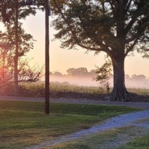 Renee's Galaxy RV Campground