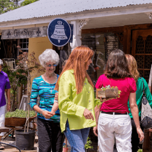 Durio's Curios Antiques & Restoration