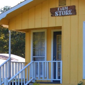 The Rustic Retreat Guesthouse