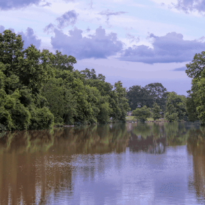 Bayou Teche RV Park