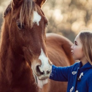 Knollwood Farm