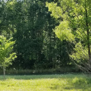 Thistlethwaite Wildlife Management Area