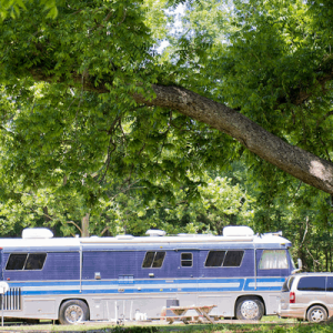 Willie's Campground