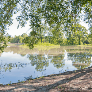 Cajun Campground