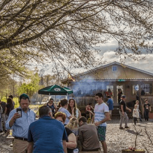 Bayou Teche Brewing