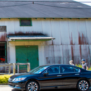 NUNU Arts & Culture Collective